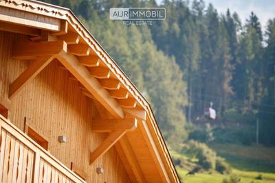 Haus Viki