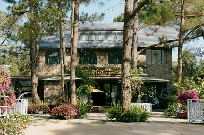 Camélia Coffee & Homestay