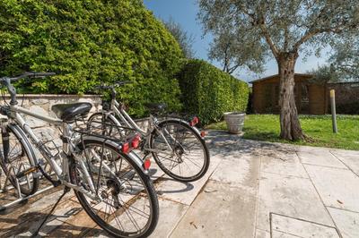 Villa Oleandri, con Piscina privata e Vista Lago