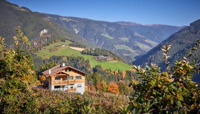 Ferienwohnung am Kernhof - Neues Apartment in ruhiger Lage mitten in der Natur - ideal für Paare, Familien, Gäste mit Hunden