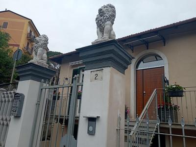 La maison du lion