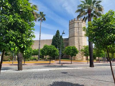 Encanto Alcázar