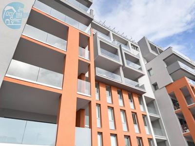 Blue Life 2A Tirabora Short Rent