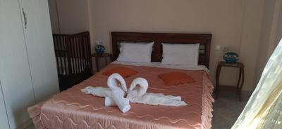 Mihalis Vrion Apartment