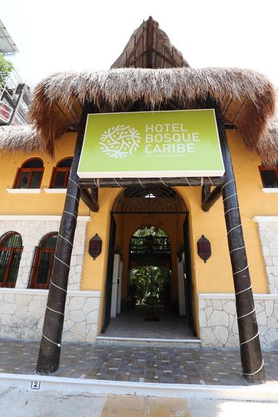 Hotel Bosque Caribe, 5th Av. zone