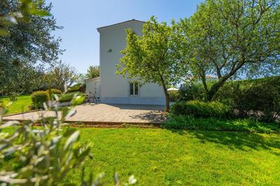 Beautiful Villa Bruna with jacuzzi in Porec