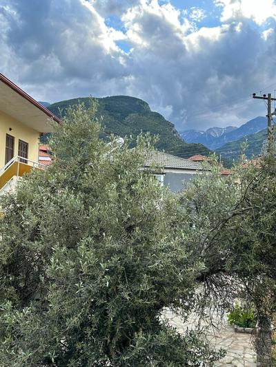 Nancy & Vaggelis Holiday Studios