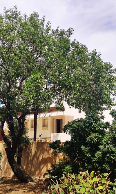 Anthelia Apartments