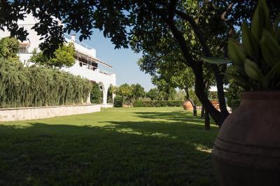 Pelion's Finest Estate