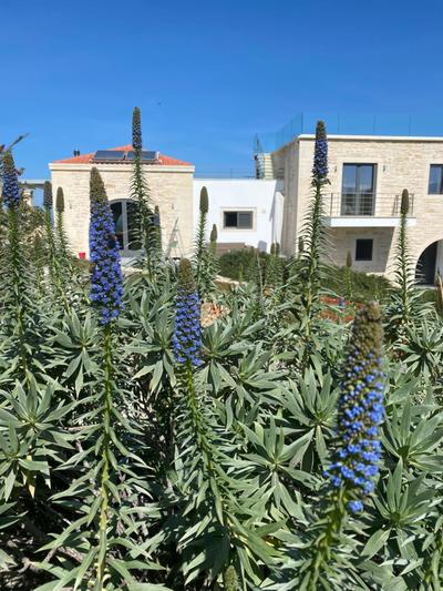 Villa Annie Crete - Private Luxury Villa with Sea and Mountain Views