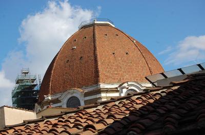 Lovely apartment close to leaning tower