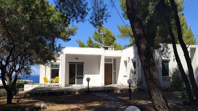 House in pines in front of the sea