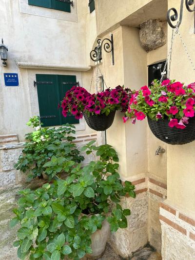 Diocletian wine studio apartment II
