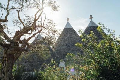 MASSERIA BARATTOLO ad uso esclusivo 14 ospiti Trulli Valle D'Itria