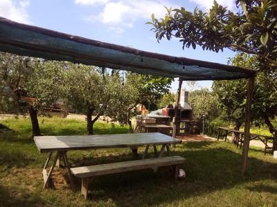 Tinti Chianti Certaldo Tuscany
