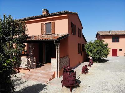 Villa Teresa - Villa & Piscina immersi nel vigneto!