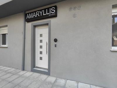 Amaryllis Maison Viziis