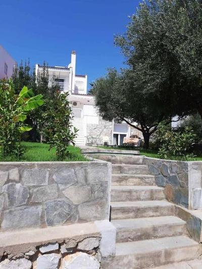 Trikorfo Beach Apartment, 150m from Sandy Beach