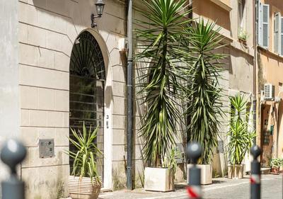 Loft Piazza Navona
