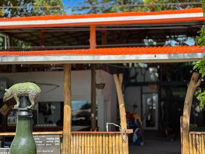 El Deseo Serendipity Tortuguero