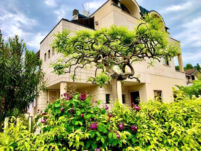 L'angolo verde apartment