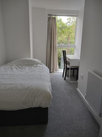 Modern flat shared with host, park view in Clapton photo 5