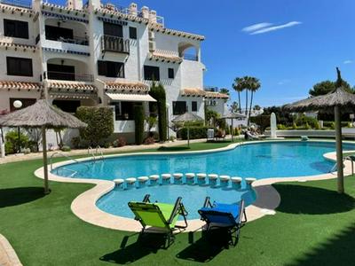 Lobo en Cabo Apartment, Cabo Roig , Orihuela Costa