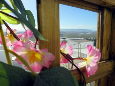 Vejer de la Frontera Luis