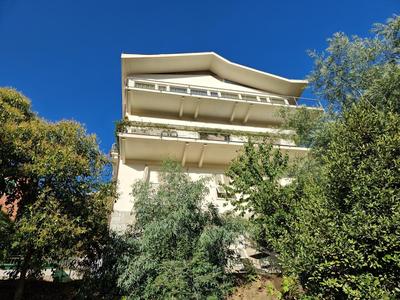 Garden & View