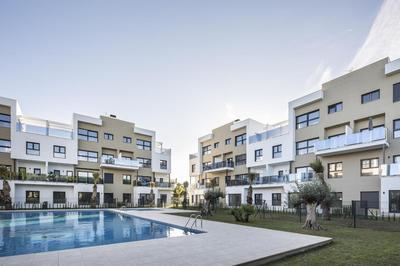 Palmetto by ON Travel