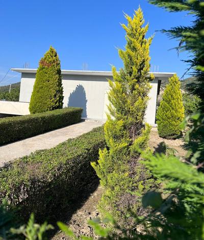 A&A House
