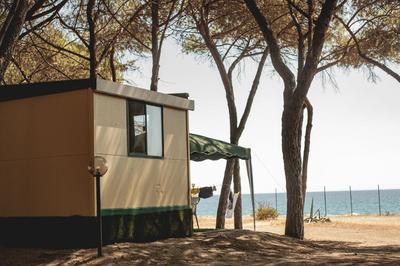 Camping Cammello Grigio