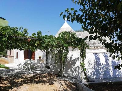 Trullo negli ulivi