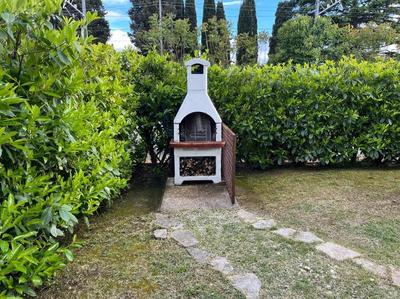Il nido dell'abete