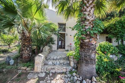 Casa Strelizie