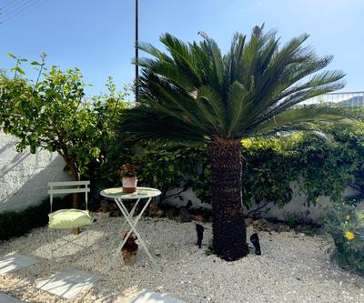 Sileon apartment