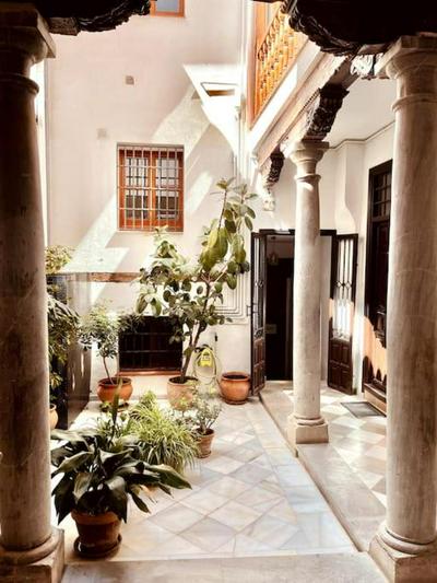 Charming Spacious Albayzin Apartment