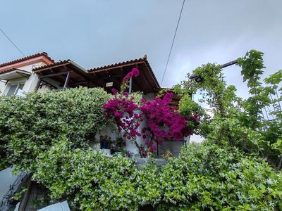 ELVAJO Apartment