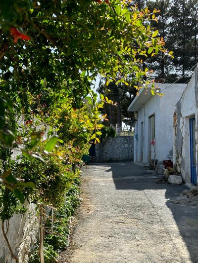 Aristea's Home