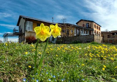 Cascina Nomade - Wine & Scenic Retreat