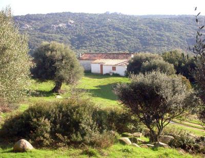 Ferienhaus Stazzo Mit Garten In Luogosanto