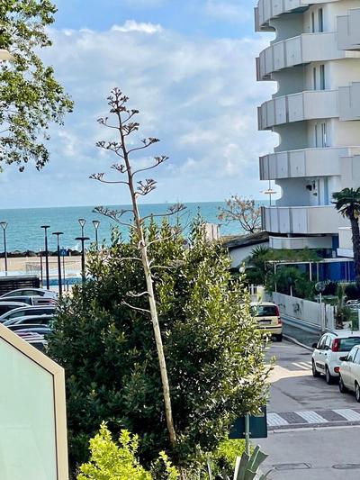 Appartamento a Misano Adriatico a 50 metri dal mare