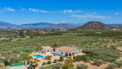 Cubo's Finca Villaverde