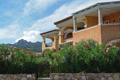 Casa Cobalto