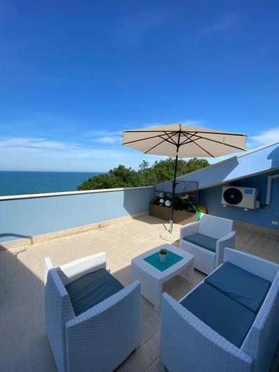 CASA BLUE DREAM