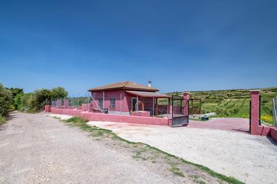 La valle degli ulivi