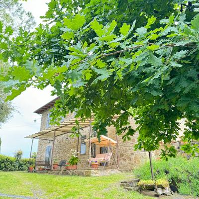 B&B Podere Cottimellino - Montalcino - Val d'Orcia