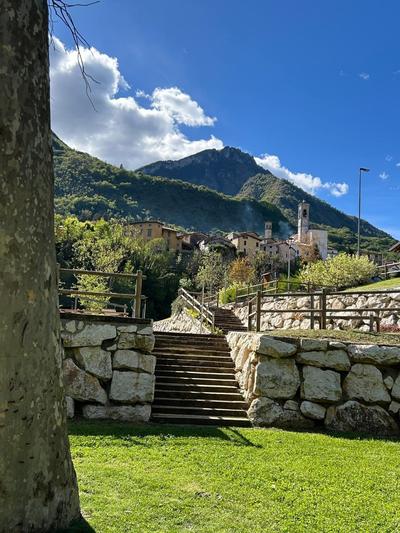 Il Tulipano
