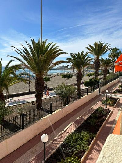 VERAMAR Prime Beachfront Location, Free Parking, Steps to the Sand