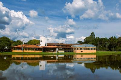 GoldMen Select Guarapuava